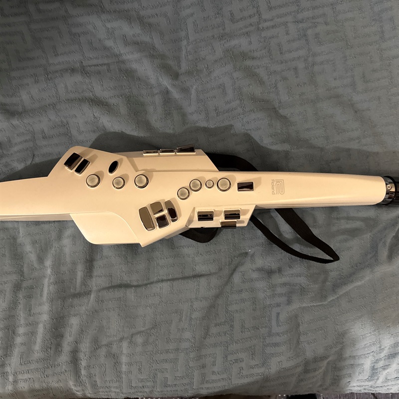Roland Aerophone AE-10の画像